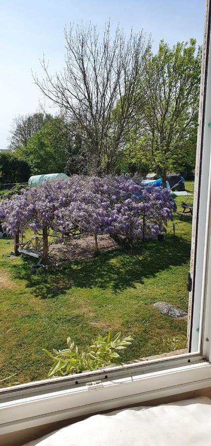 Chanteloup Wisteria House住宿加早餐旅馆 外观 照片