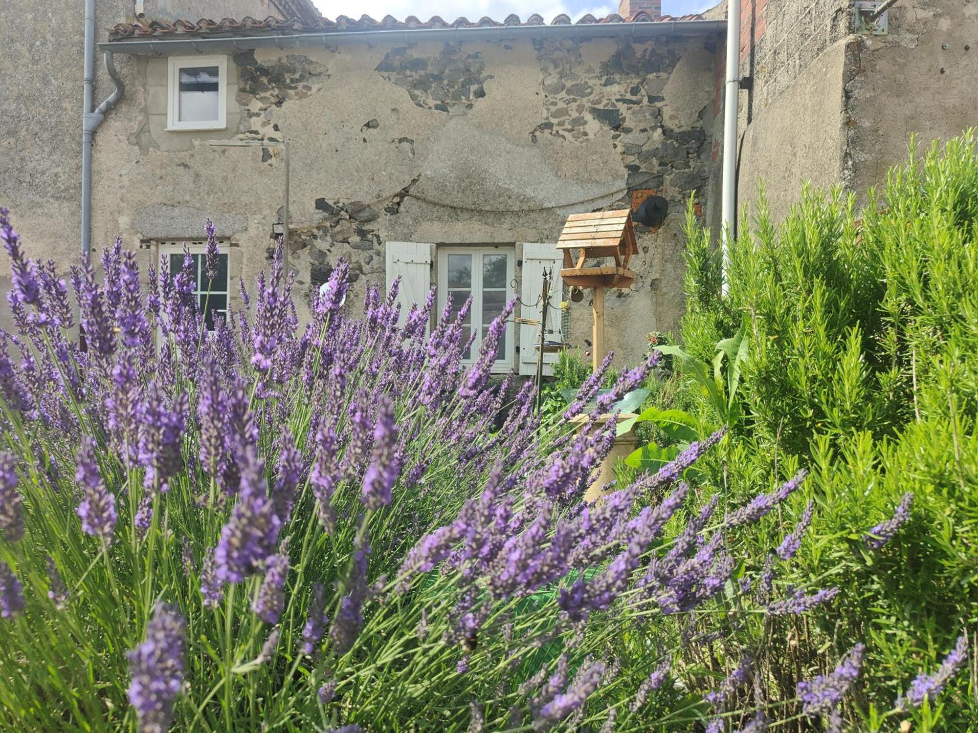 Chanteloup Wisteria House住宿加早餐旅馆 外观 照片