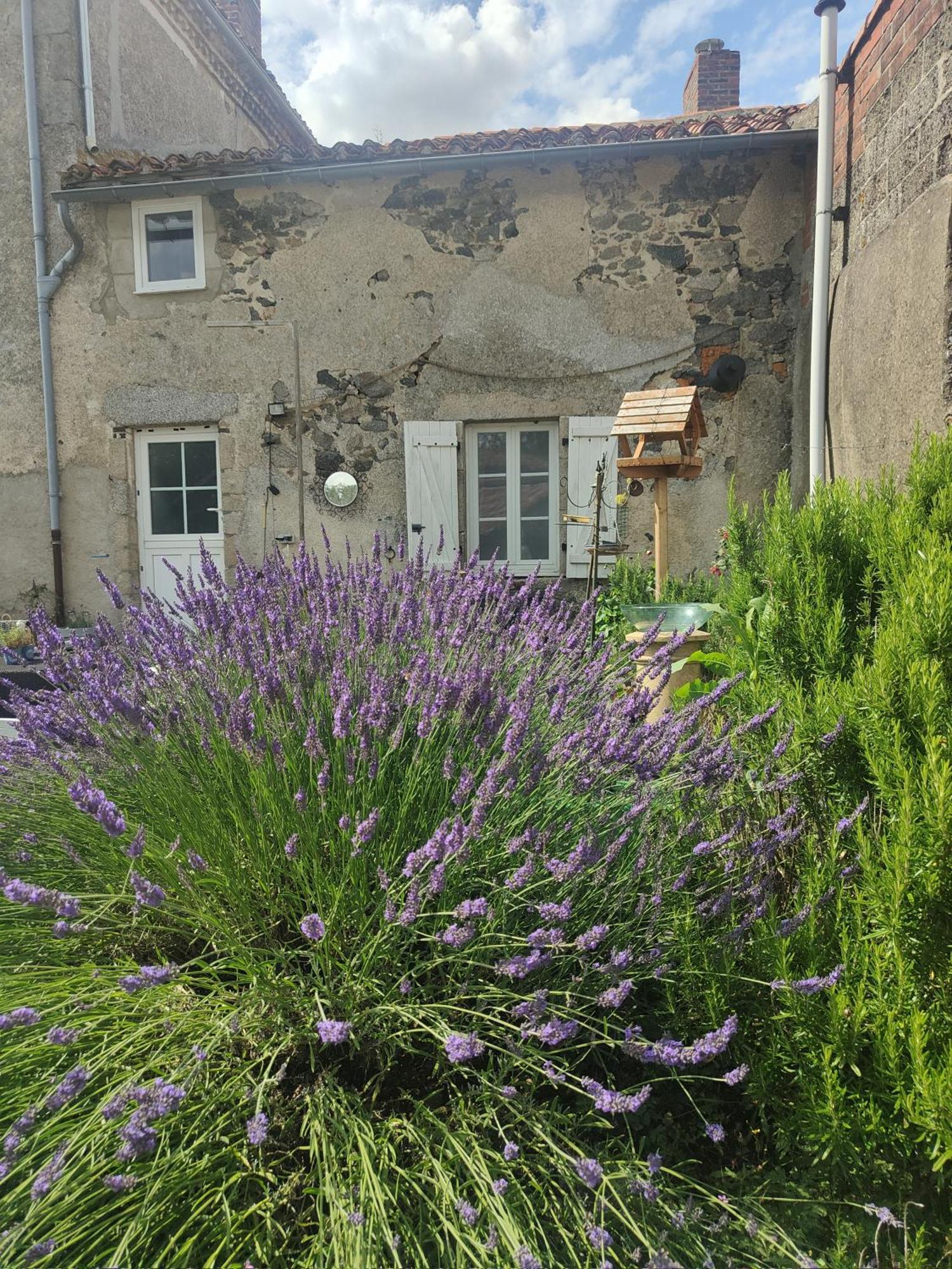 Chanteloup Wisteria House住宿加早餐旅馆 外观 照片